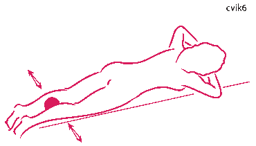 Další cviky pro Vás